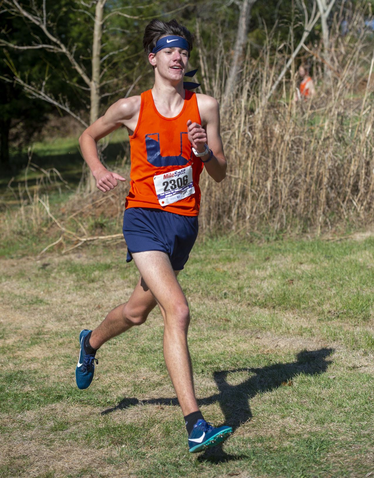 Region 2D Cross Country Championships
